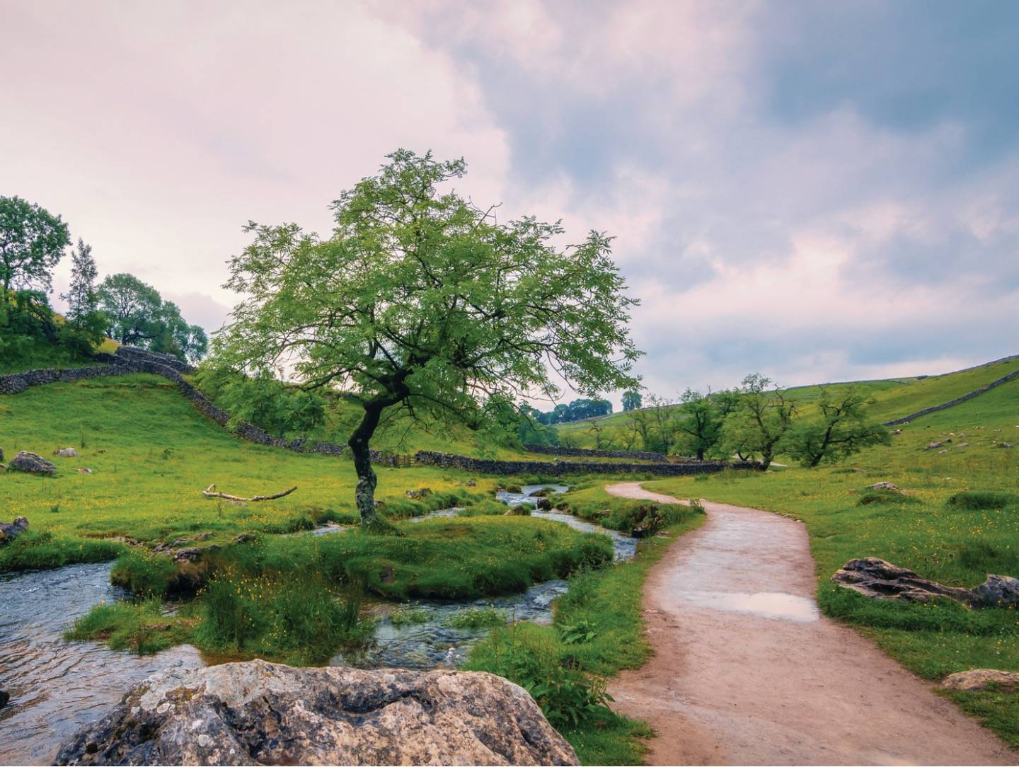 A walking route at Malham Cove
